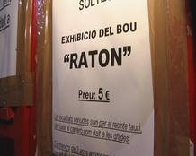 Cartel de la exhibici&oacute;n del toro rat&oacute;n, en Canals