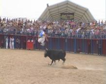 Recortadores en acci&oacute;n