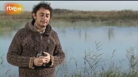 Ver v&iacute;deo  'Cr&oacute;nicas - Paradojas en la crisis del humedal de 'El Hondo''