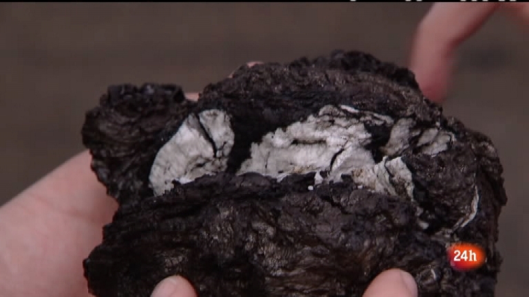 Cr&oacute;nicas - Sobre el volc&aacute;n - Ver ahora