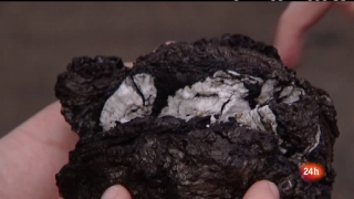 Ver v&iacute;deo  'Cr&oacute;nicas - Sobre el volc&aacute;n'