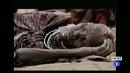 Ir al Video&nbsp;Cruz Roja alerta que la crisis humanitaria puede trasladarse ahora a Sud&aacute;n y el Sahel