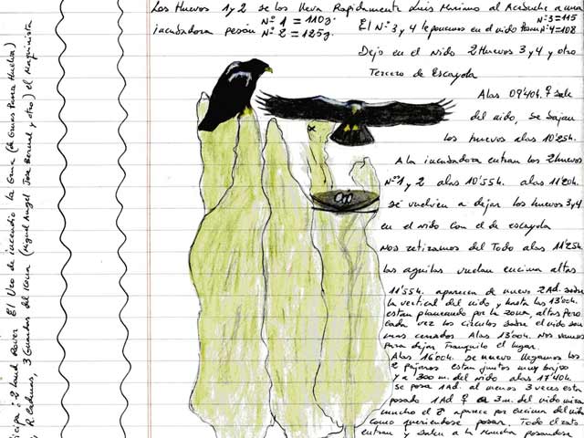 Los cuadernos de campo de Do&ntilde;ana, online