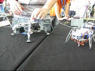 Ver v&iacute;deo  'Cuadr&uacute;pedo robot'