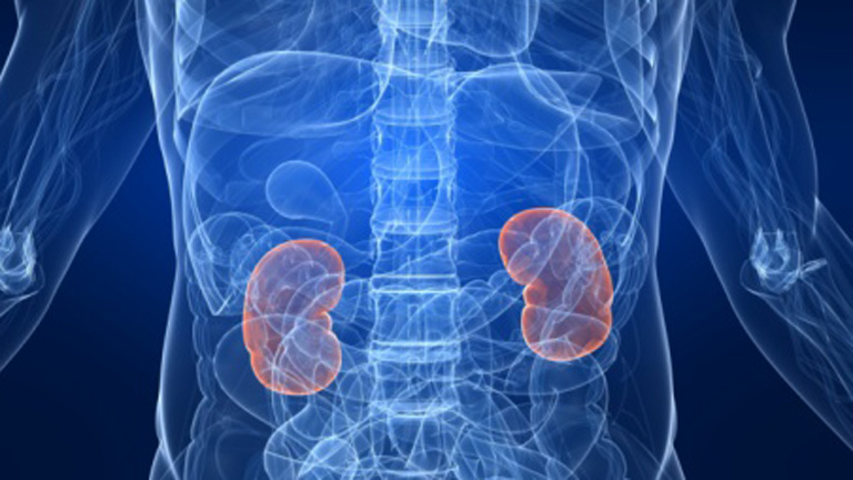 Saber Vivir - Cuidado con las infecciones: del ri&ntilde;&oacute;n a la vejiga urinaria - 08/11/11