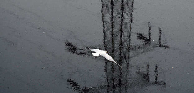 LIMPIEZA DEL R&Iacute;O YAMUNA EN NUEVA DELHI