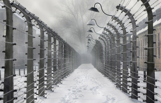 Se cumplen 65 a�os de la liberaci�n del campo de Auschwitz
