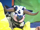 Imagen del  v&iacute;deo de El cohete musical titulado &iquest;QU&Eacute; NOS DAR&Aacute; LA VACA?