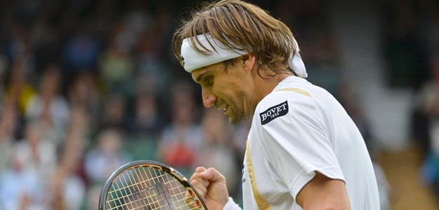 David Ferrer celebra un punto en su partido contra Juan Mart&iacute;n del Potro