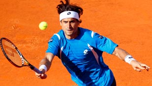 David Ferrer