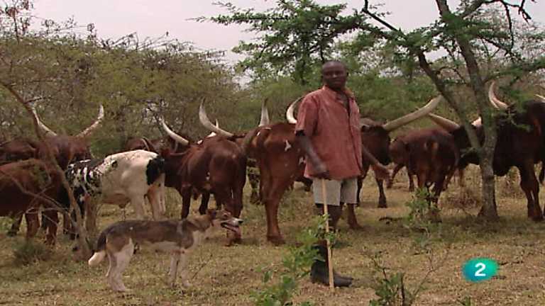 Otros pueblos - Del Nilo Blanco al reino Ankole (Uganda II)