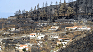 Ver v&iacute;deo  'La Delegaci&oacute;n del Gobierno en Canarias anuncia las primeras detenciones por el incendio en La Gomera'