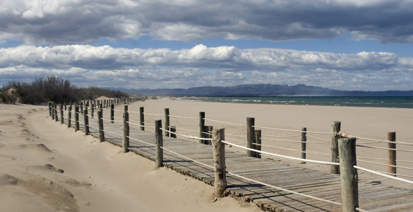 Dunas del Delta del Ebro, un entorno amenazado por la falta de sedimentos y la acci&oacute;n humana