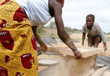 A woman and her daughter shake unhusked rice during harvest in Divo