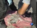 Ir al Video&nbsp;Desarticulada una organizaci&oacute;n que facilitaba el trabajo de los narcos con avanzados sistemas tecnol&oacute;gicos