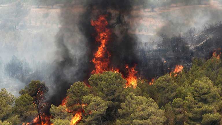 La provincia de Valencia sufre un verdadero desastre ecol&oacute;gico