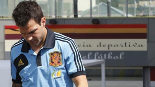 Ver v&iacute;deo  'Descartada una lesi&oacute;n grave de Cesc'