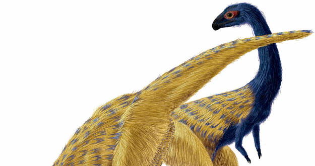 DESCUBREN UN DINOSAURIO QUE EXPLICA LA FORMACI&Oacute;N DE LAS ALAS EN LOS P&Aacute;JAROS