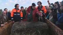 Ir al Video&nbsp;Descubren un esqueleto de dinosaurio en Asturias