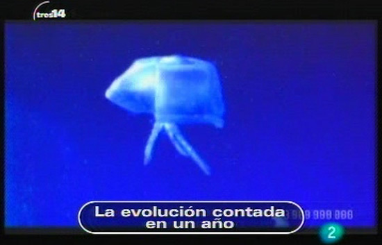 tres14 - Curiosidades - &iquest;Desenchufar el ordenador da&ntilde;a el disco duro?