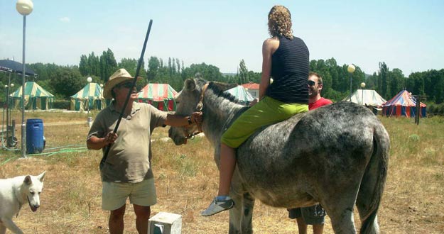 Despedida de soltera a los lomos de un asno Despedida de soltera a los lomos de un asno