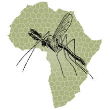 Día Mundial de la malaria Día Mundial de la malaria
