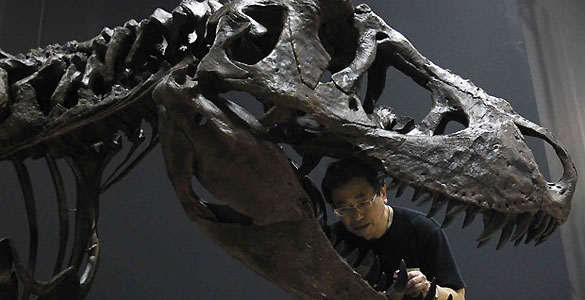 El bocado de estos dinosaurios es casi tres veces más potente que el de un cocodrilo del Nilo El bocado de estos dinosaurios es casi tres veces más potente que el de un cocodrilo del Nilo