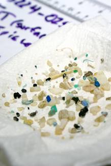 Diferentes fragmentos de pl&aacute;stico recogidos en el oc&eacute;ano