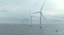 Ir al Video&nbsp;Dinamarca: 40 a&ntilde;os apostando por las energ&iacute;as renovables