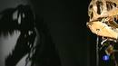 Ir al Video&nbsp;Los dinosaurios eran reptiles de sangre caliente