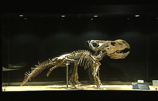 Una de las exposiciones de dinosaurios m&aacute;s importantes del mundo, en Madrid