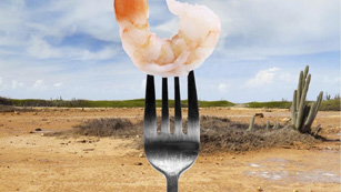 &iexcl;Disfruta de la comida!