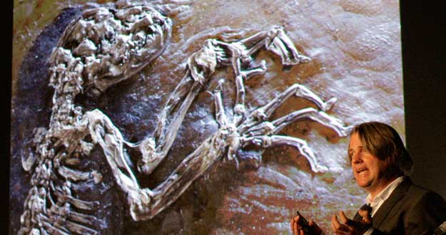 47 million year old fossilized primate specimen known as " Ida" unveiled at New York's Museum of Natural History 47 million year old fossilized primate specimen known as " Ida" unveiled at New York's Museum of Natural History