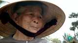 Ir al Video&nbsp;El documental - Los fantasmas de My Lai