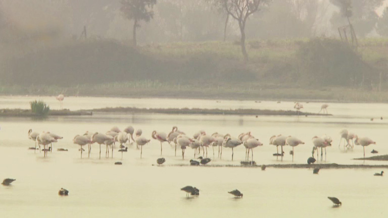 Do&ntilde;ana, laboratorio vivo