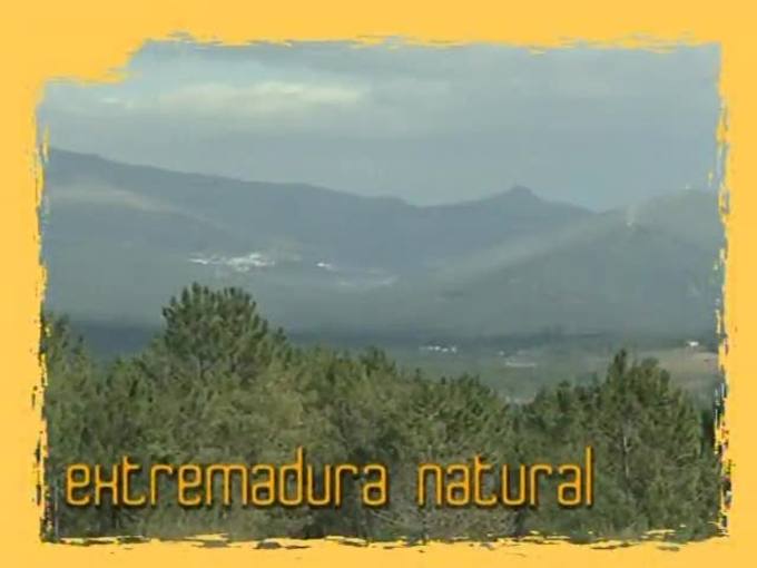 Natural - Donde a&uacute;n no soplan los aires renovables 