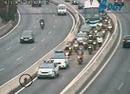 Dos jabal&iacute;es irrumpen en el carril BUS-VAO de la A-6 en Madrid