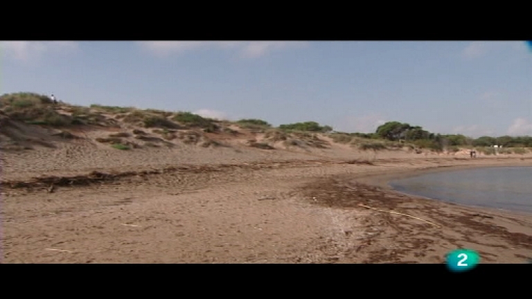 El bosque protector - Las dunas del Golfo de Rosas