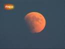 Ir al Video&nbsp;El eclipse lunar m&aacute;s largo desde el a&ntilde;o 2000 ti&ntilde;e la luna de rojo
