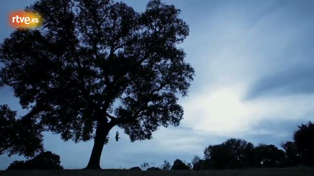 Mitos y leyendas - Edipo  - presentaci&oacute;n
