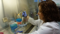 Ir al Video&nbsp;Elaboran un registro de familiares para investigar el c&aacute;ncer de p&aacute;ncreas