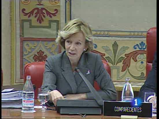 Elena Salgado ha anunciado que el Gobierno aprobar&aacute; ma&ntilde;ana un plan de lucha contra el fraude fiscal 
