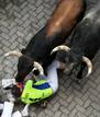 EMOCI&Oacute;N EN UN LIMPIO SEGUNDO ENCIERRO DE LAS FIESTAS DE SAN FERM&Iacute;N