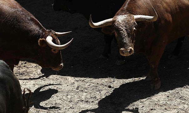 Encierros y corridas de las Fiestas de San Fermín para amantes del toro