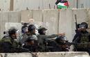 Enfrentamientos Palestina