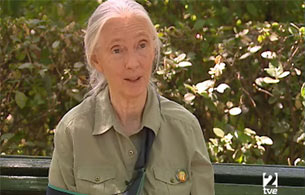 Ver v&iacute;deo  'Entrevista a Jane Goodall'