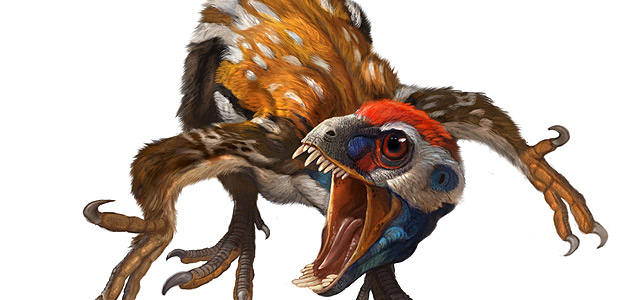 Epidexipteryx-hui, el p&aacute;jaro m&aacute;s antiguo
