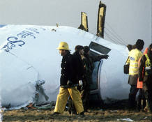 Equipos de bomberos entre los restos del avi&oacute;n