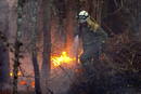 Los equipos de extinci&oacute;n de incendios han estado trabajando toda la noche.