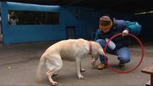 Los perros son una herramienta terap&eacute;utica